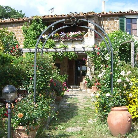 Le Querciolaie Monte Cavallo - Lower Apartment Saturnia Zewnętrze zdjęcie