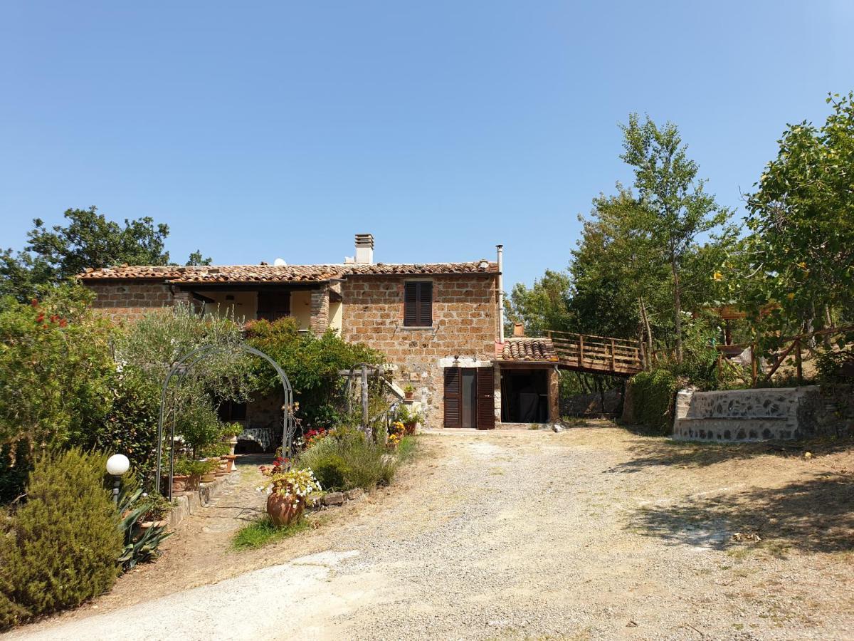 Le Querciolaie Monte Cavallo - Lower Apartment Saturnia Zewnętrze zdjęcie