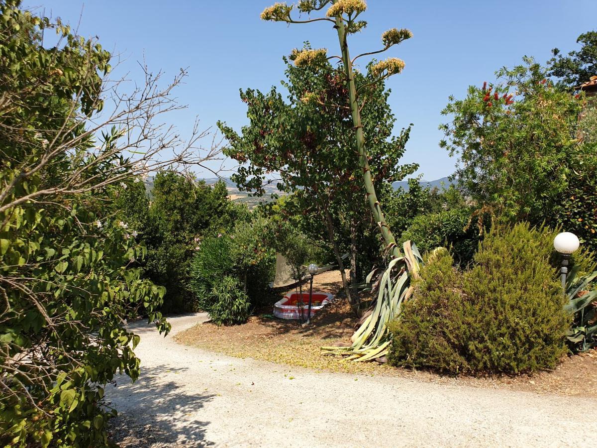 Le Querciolaie Monte Cavallo - Lower Apartment Saturnia Zewnętrze zdjęcie